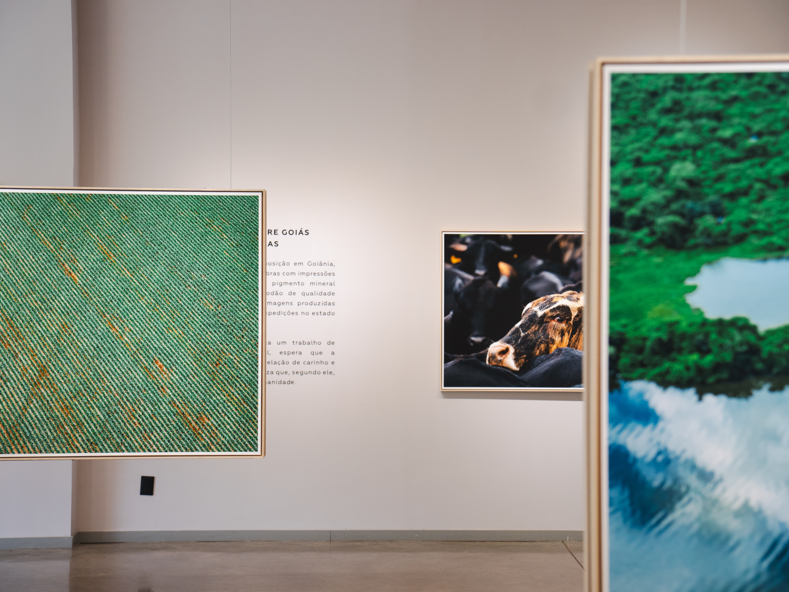 Promenade_WV Maldi (14)