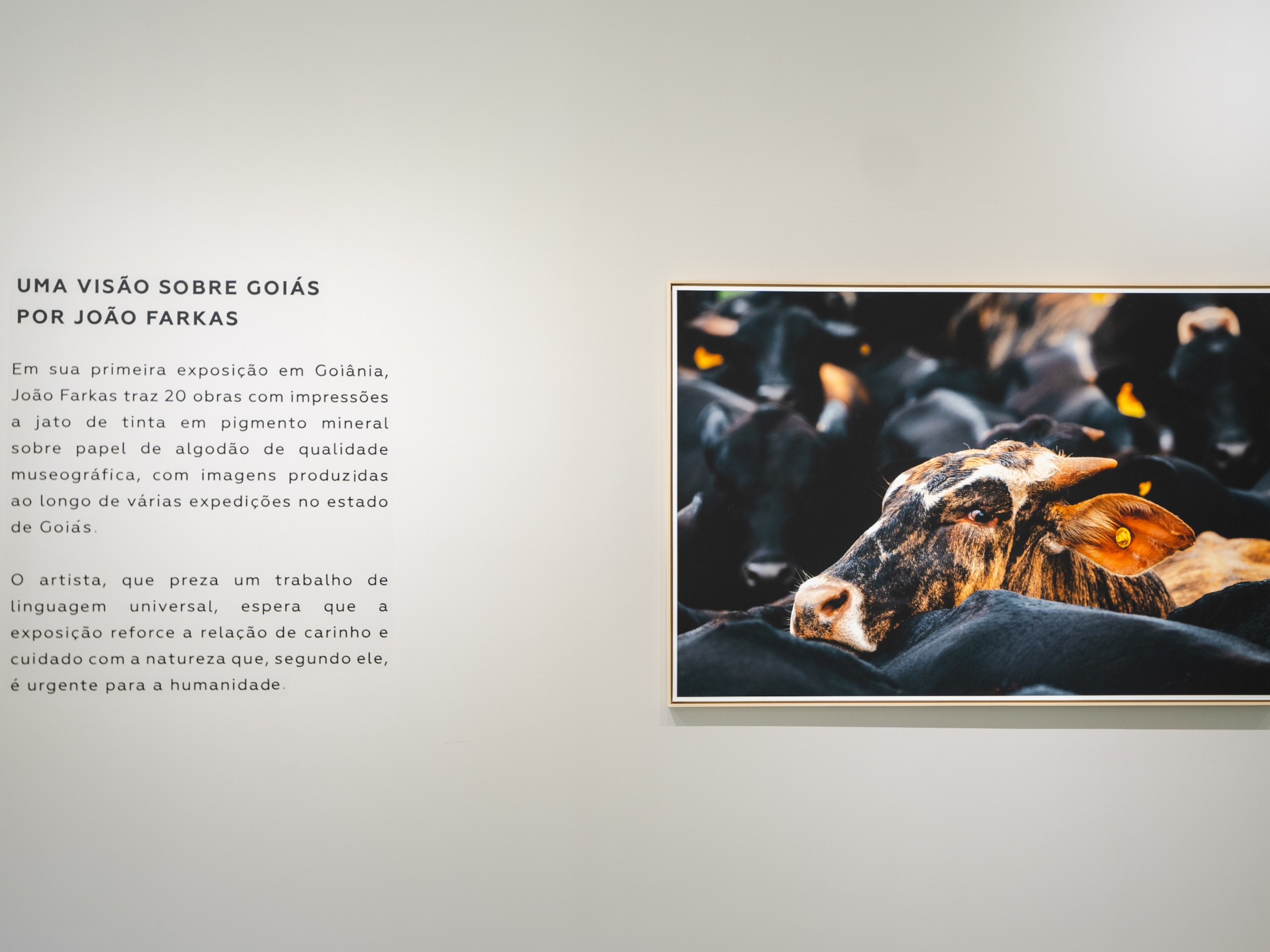 Promenade_WV Maldi (9)